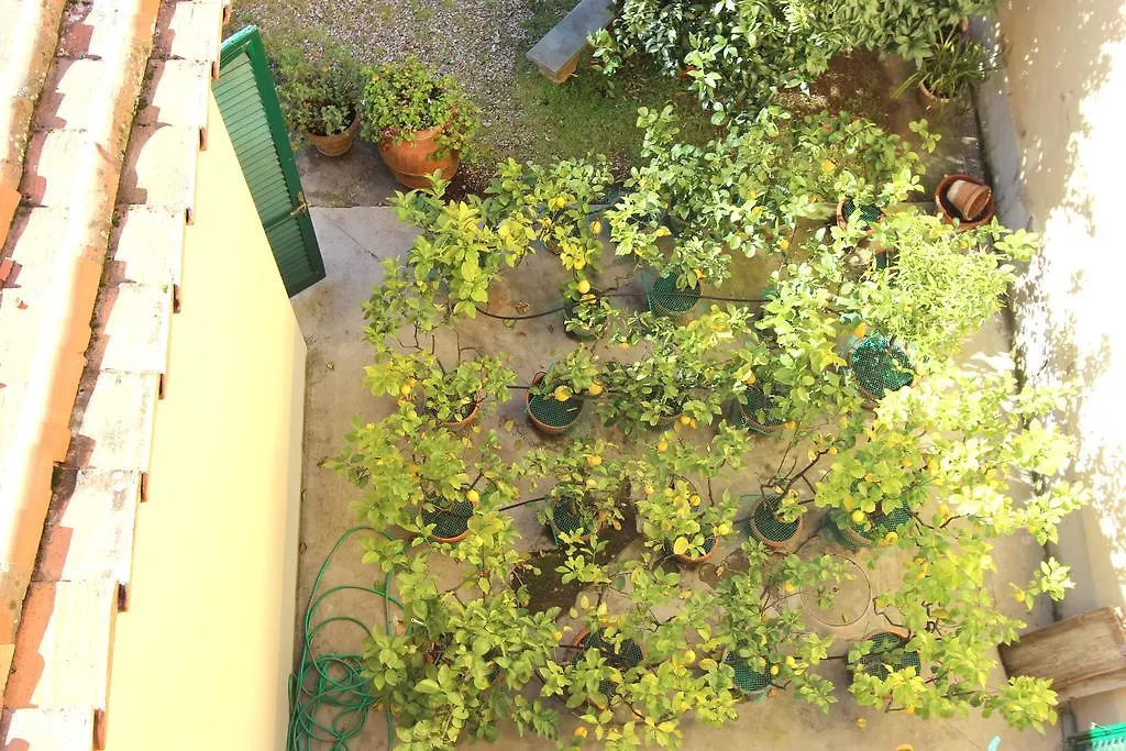 Casa Per Ferie Regina Santo Rosario Bed & Breakfast Florence